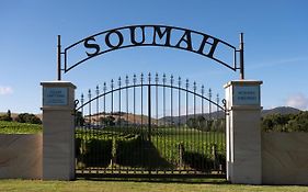 Soumah Of Yarra Valley